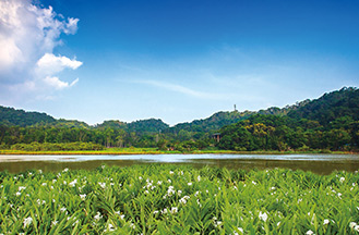東源景點