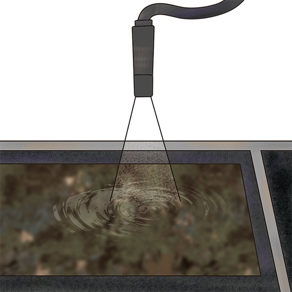Water Transfer Printing（WTP）