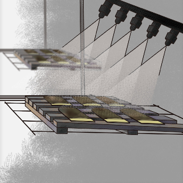 Water Transfer Printing（WTP）