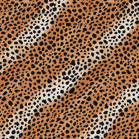 Animal Skin Series